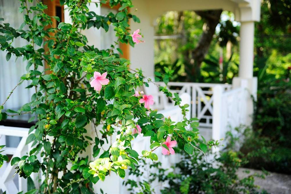 Coral Seas Beach Negril Zewnętrze zdjęcie